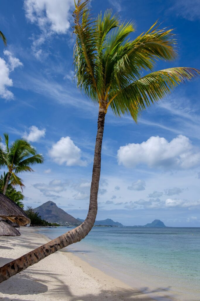 Mauritius! The Mauritius Tourist Attractions, Exquisite Beaches And Culture